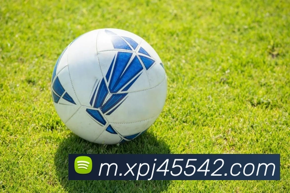 App Interface Preview