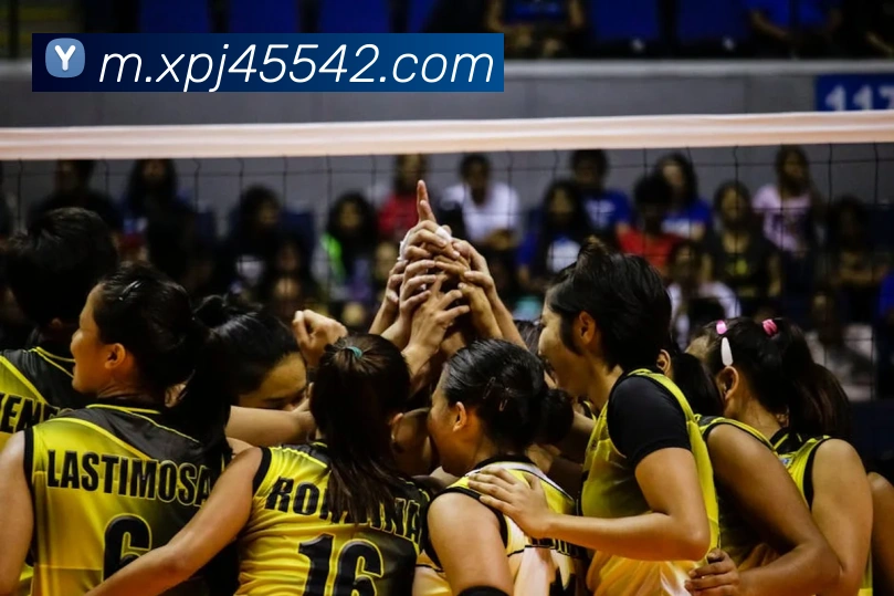 新葡京在线网址APP 封面图